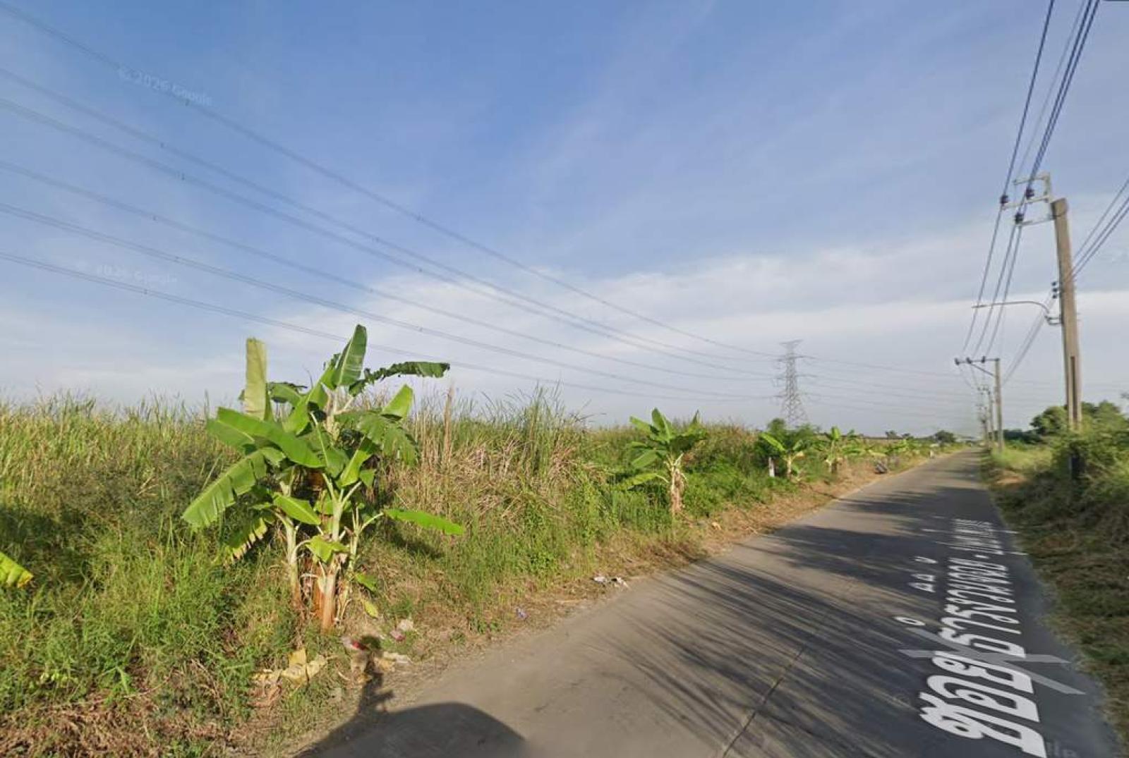 ที่ดินเปล่า 405 ตารางวา ซอย ธำรงวินิจฉัย - ปุษยไพบูลย์ / 1 ไร่ 5 ตร.วา (ขาย), Land 405 square wah Soi Thamrongwinitchai - Pusaya-phaiboon / 5 Square Wa (FOR SALE) FON337