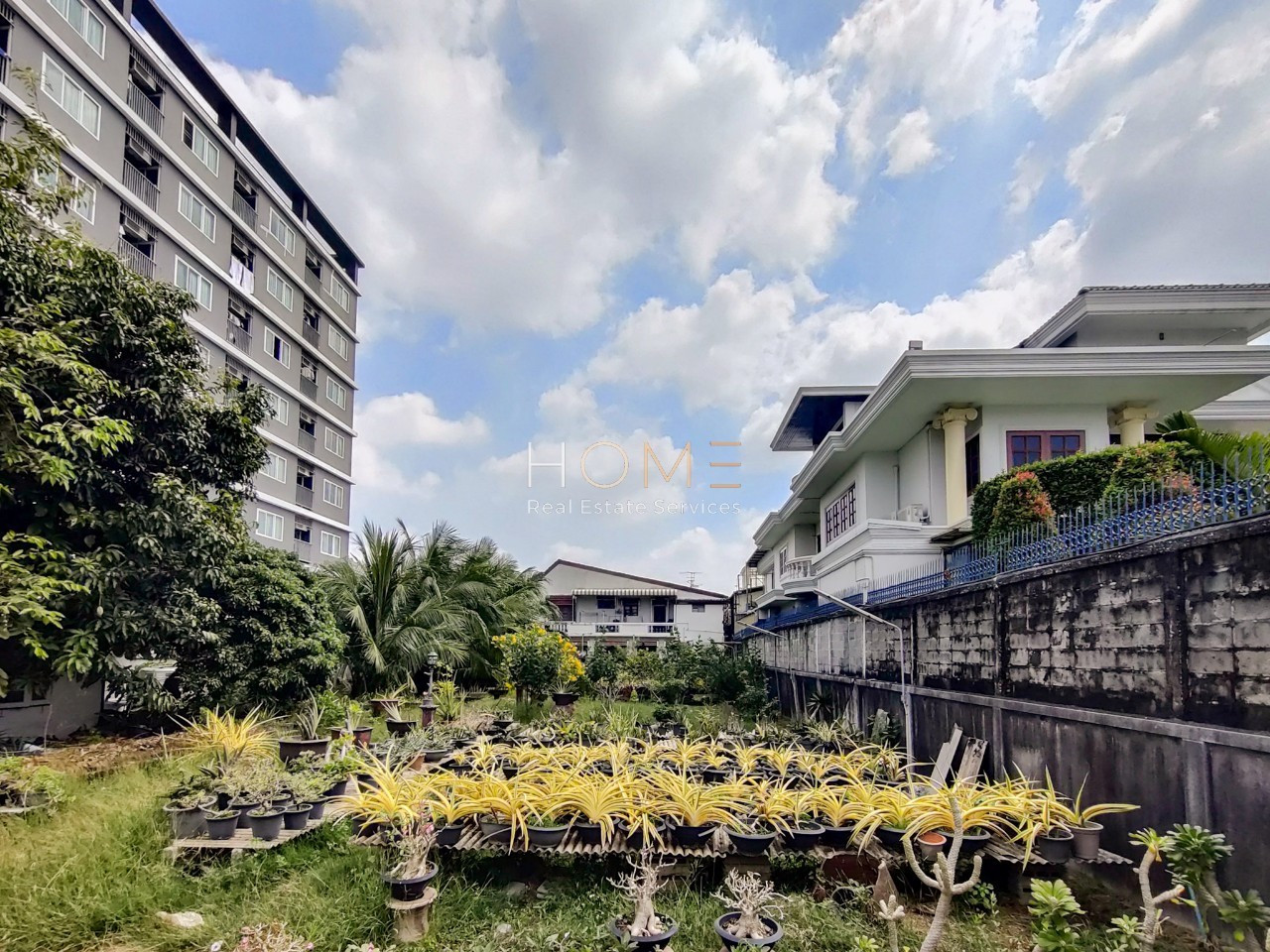 ที่ดิน สุขุมวิท 77 ซอยอ่อนนุช 14 (ขาย), Land plot in Sukhumvit 77 Soi Onnut 14 (FOR SALE) PALM670