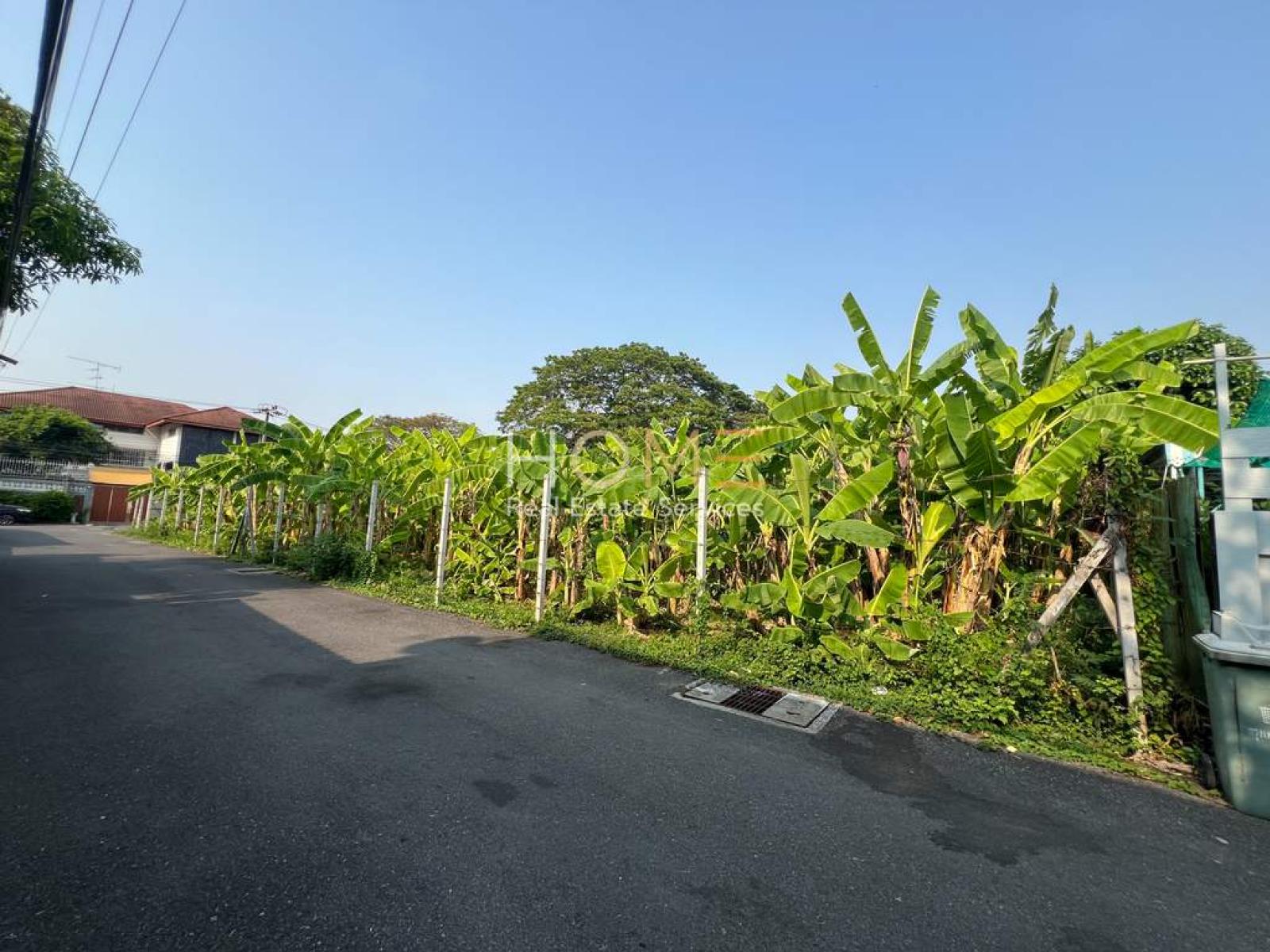 ที่ดินเปล่า 129 ตร.ว. ปรีดีพนมยงค์ 14 (แปลงกลาง) / 129 ตร.วา (ขาย), Vacant land, 129 sq.wa., Pridi Phanomyong 14, Soi Misuswan 3, Intersection 3 (middle plot). / 129 Square Wa (FOR SALE) GNG245