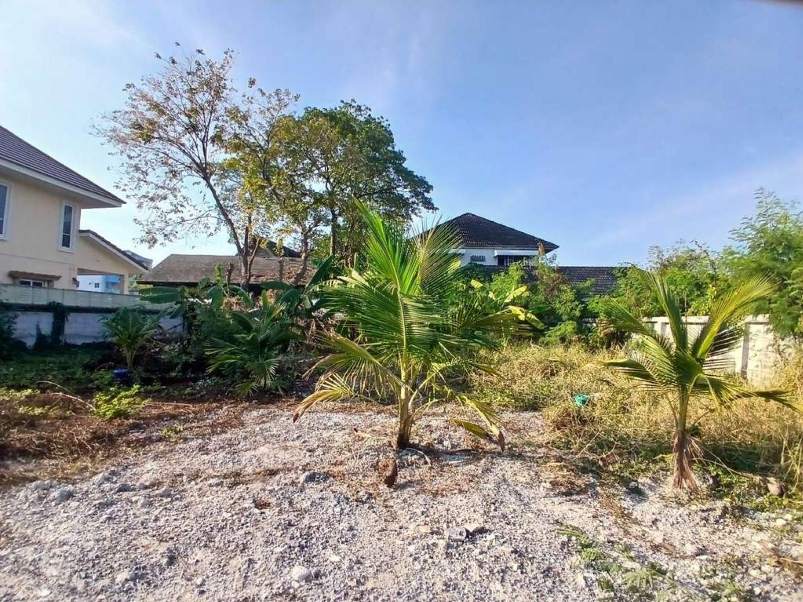 ที่ดิน เฉลิมพระเกียรติร.9 ซอย 7 / 148 ตร.วา (ขาย), Land in honor of King Rama IX, Soi 7. / 148 Square Wa (FOR SALE) POON313