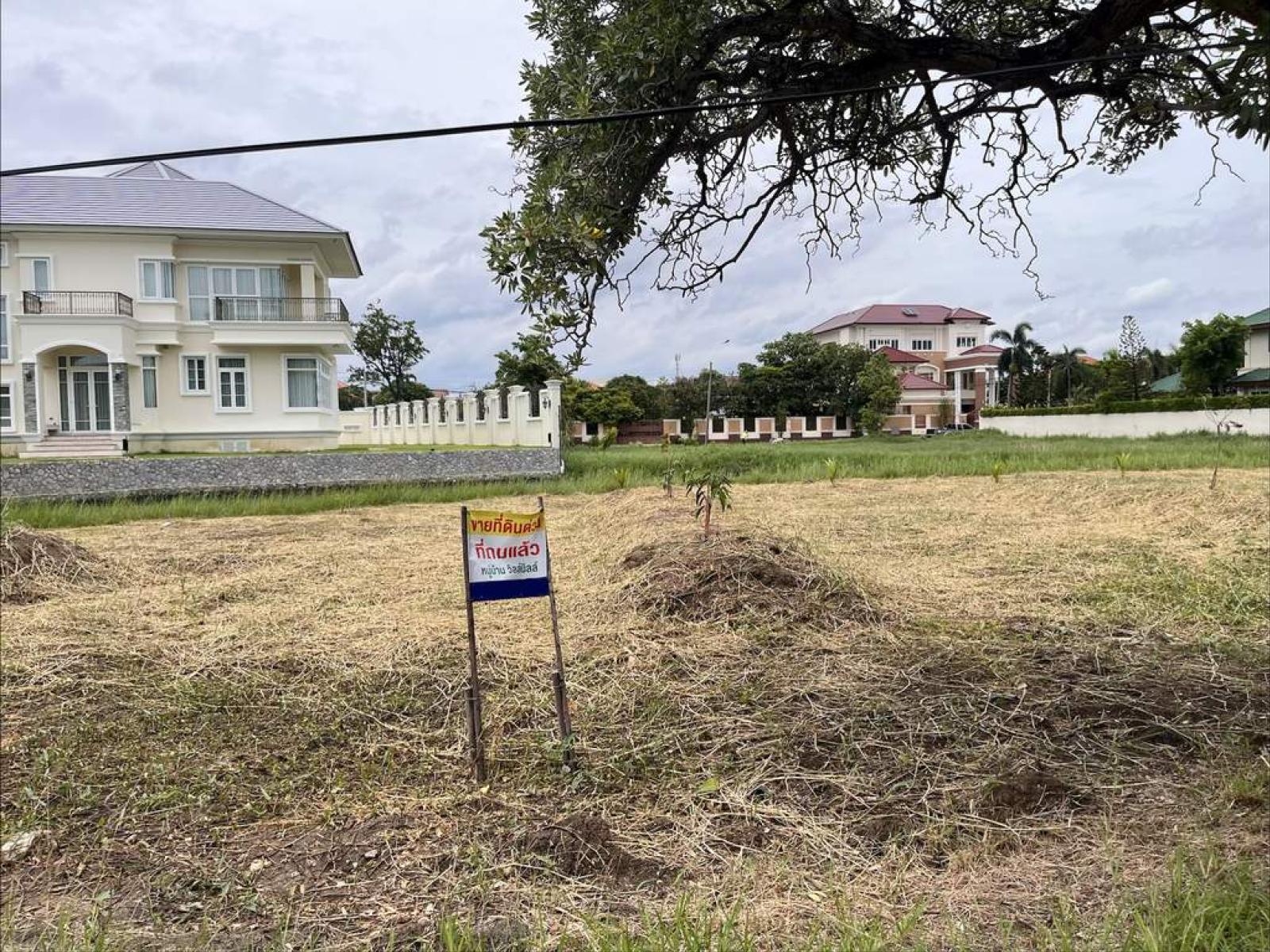 ที่ดิน วินด์มิลล์ 424 ตร.วา / 424 ตร.วา (ขาย), Windmill land plot, 424 square wa. / 424 Square Wa (FOR SALE) POON319