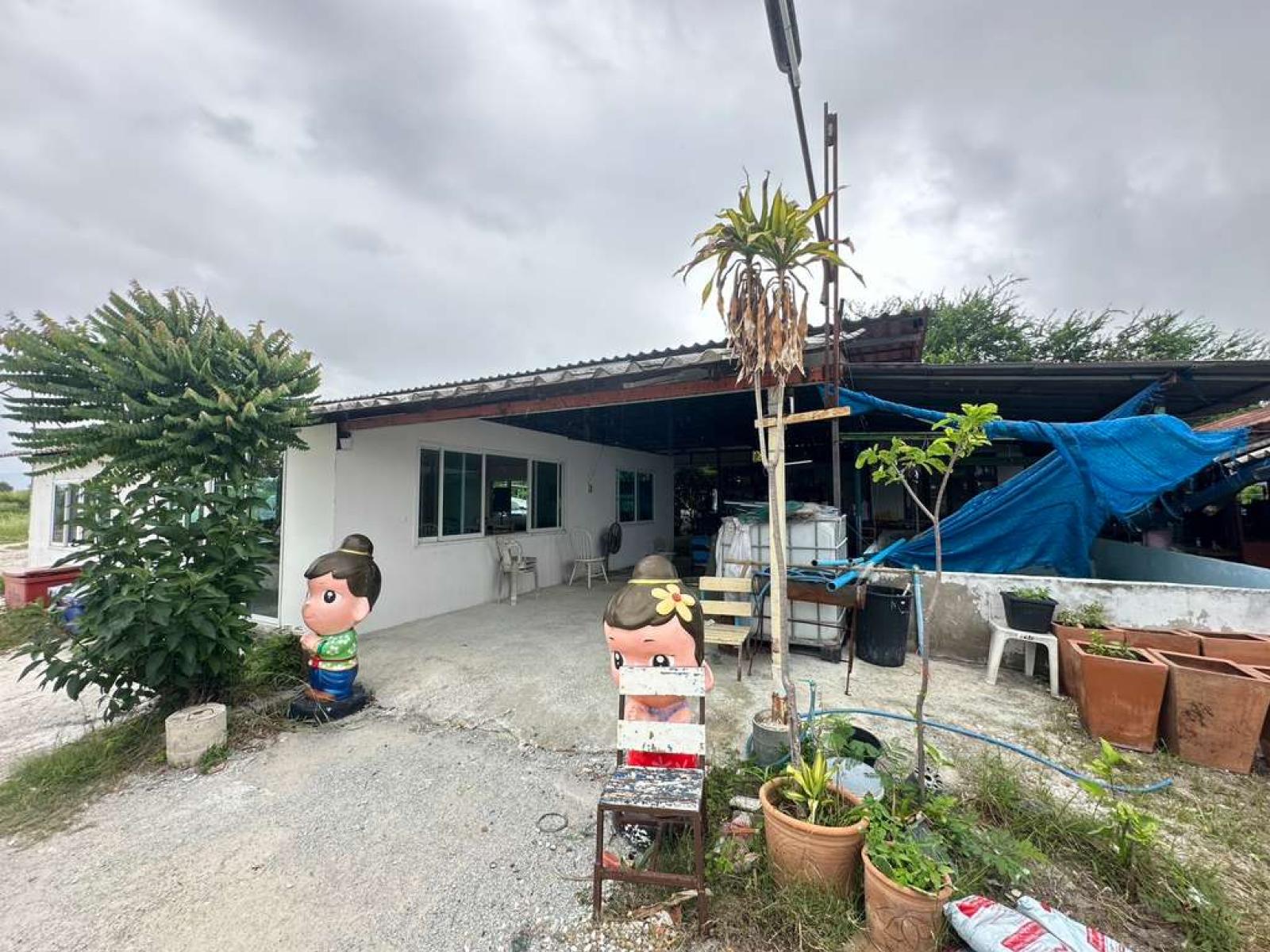 ที่ดิน อ.อ่างศิลา จ.ชลบุรี / 16 ไร่ 3 งาน 70 ตร.วา (ขาย), Land in Ang Sila District, Chonburi Province. / 70 Square Wa (FOR SALE) NANN003