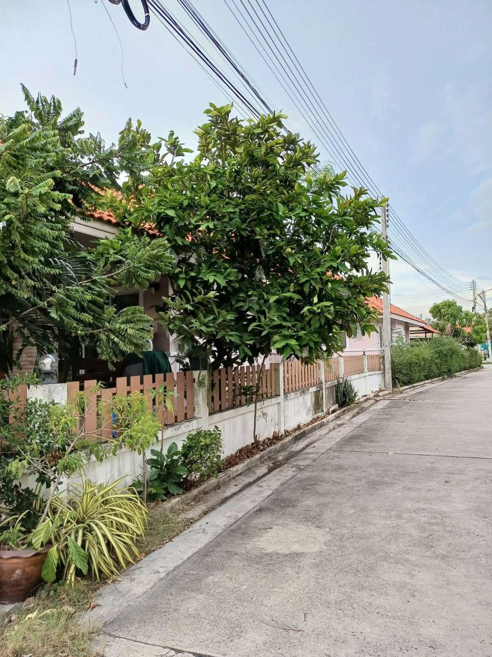 หมู่บ้านนพนภาวิลเลจ ต.คลองตำหรุ อ.เมือง จ.ชลบุรี / 3 ห้องนอน (ขาย), Nopnapa Village, Khlong Tamru Subdistrict, Mueang District, Chonburi Province / 3 Bedrooms (FOR SALE) NANN025