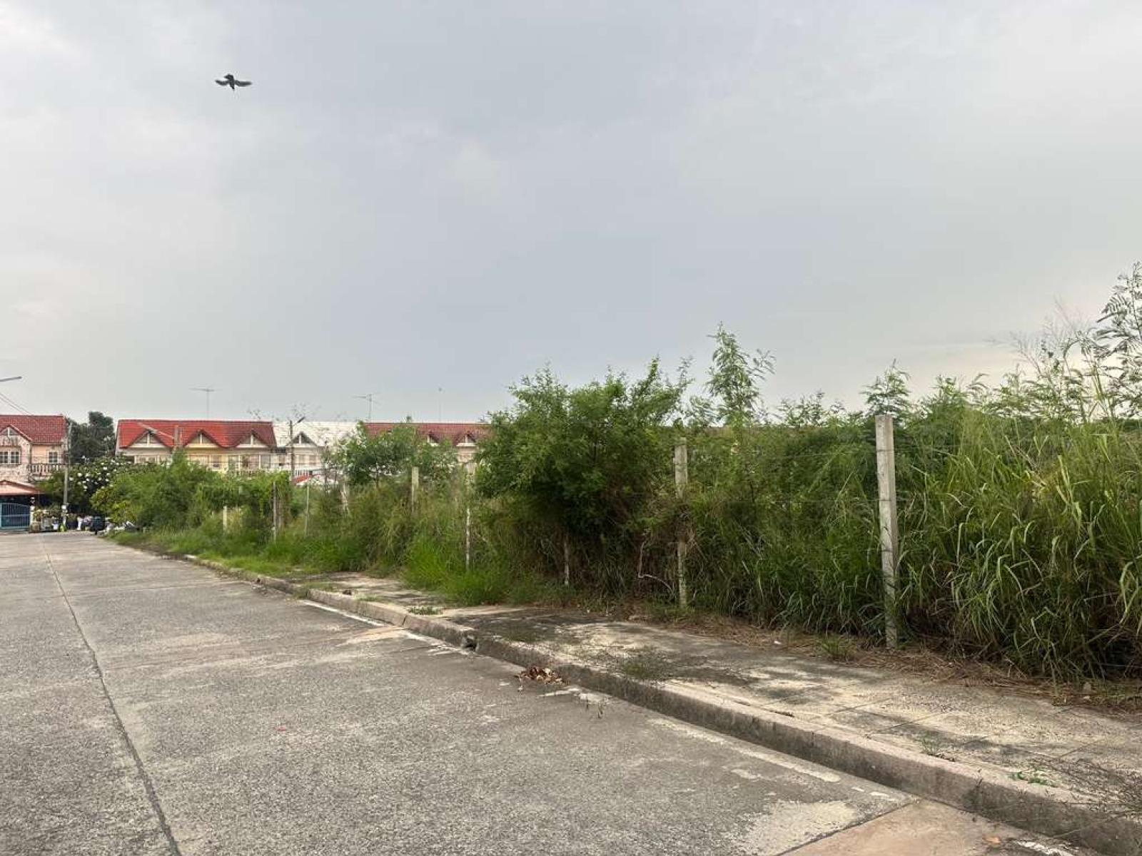 ที่ดิน ต.เสม็ด อ.อ่างศิลา จ.ชลบุรี / 3 ไร่ 24 ตร.วา (ขาย), Land in Samet Subdistrict, Ang Sila District, Chonburi Province. / 24 Square Wa (FOR SALE) NANN035