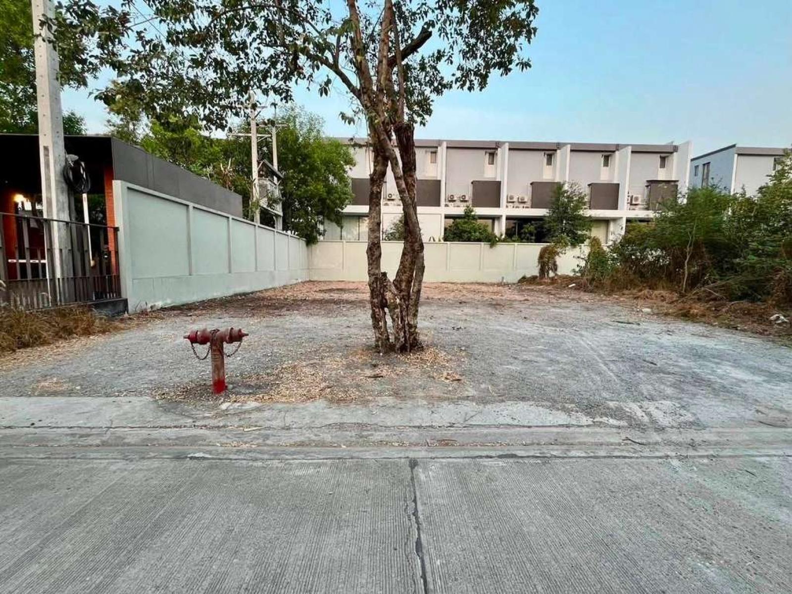 ที่ดิน ซอยรามคำแหง 118 / 109 ตร.วา (ขาย), Land plot in Soi Ramkhamhaeng 118. / 109 Square Wa (FOR SALE) GRET034