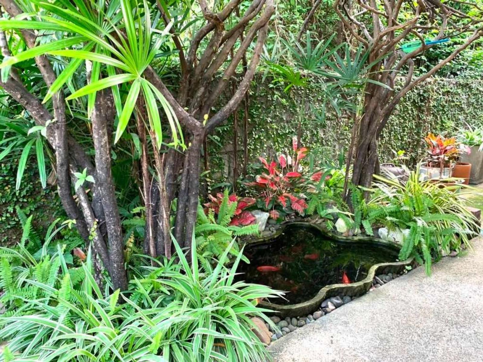 บ้าน สัมมากร รามคำแหง / 4 ห้องนอน (ให้เช่า), Baan Sammakorn Ramkamhang / 4 Bedrooms (FOR RENT) GRET030