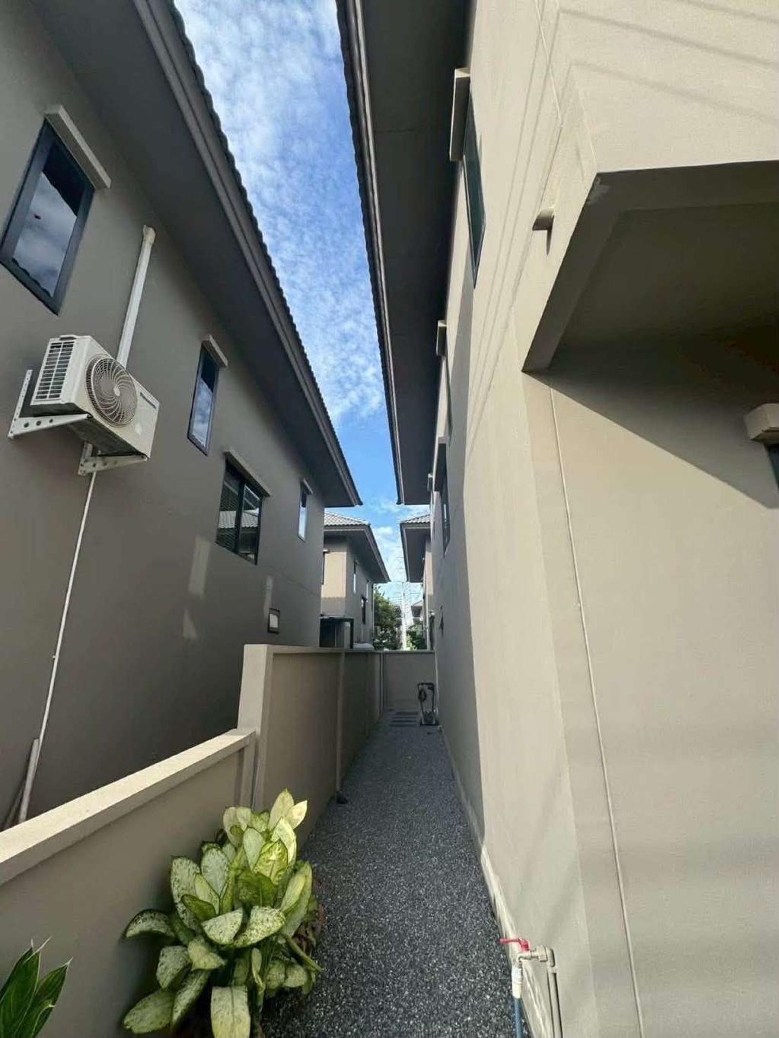โคโม่ โบทานิก้า บางนา / 3 ห้องนอน (ให้เช่า), Como Botanica Bangna / 3 Bedrooms (FOR RENT) DA162