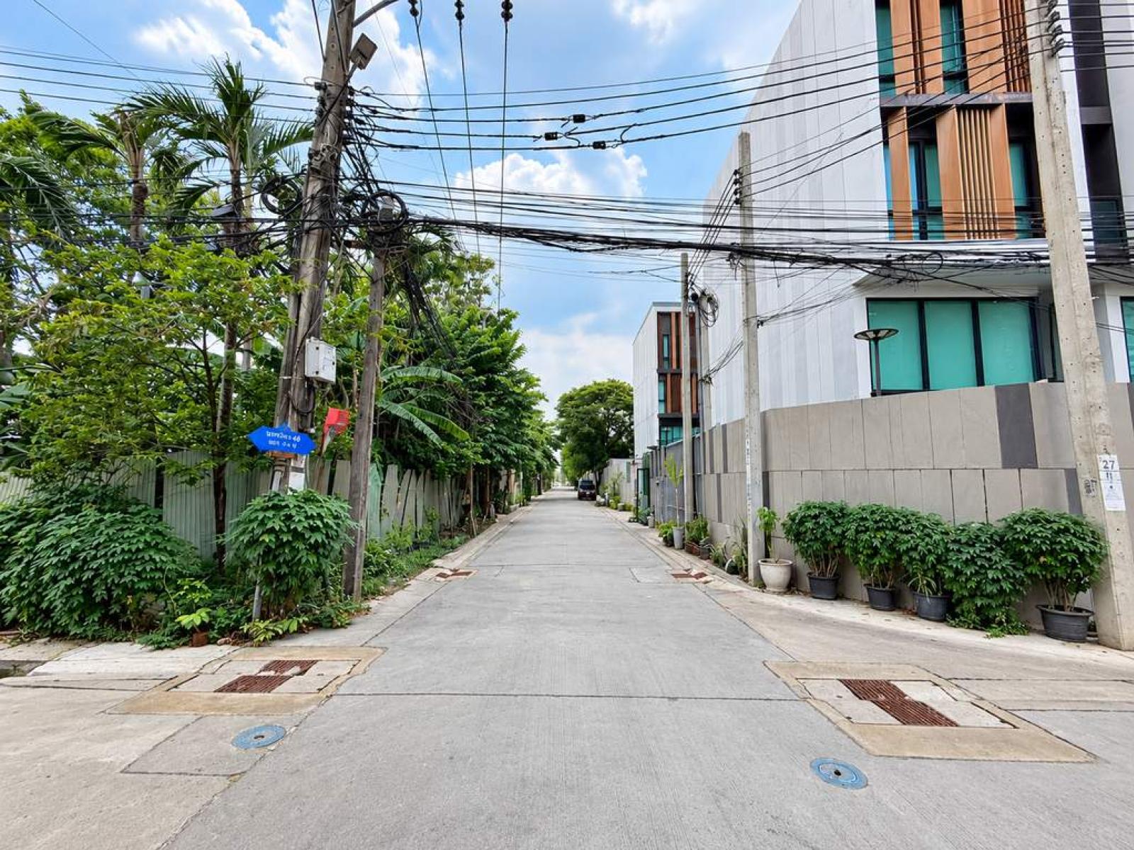 ที่ดินเปล่า นาคนิวาส 48 แยก 14 / 112 ตร.วา (ขาย), Vacant land, Nak Niwas 48, Soi 14. / 112 Square Wa (FOR SALE) PALR047