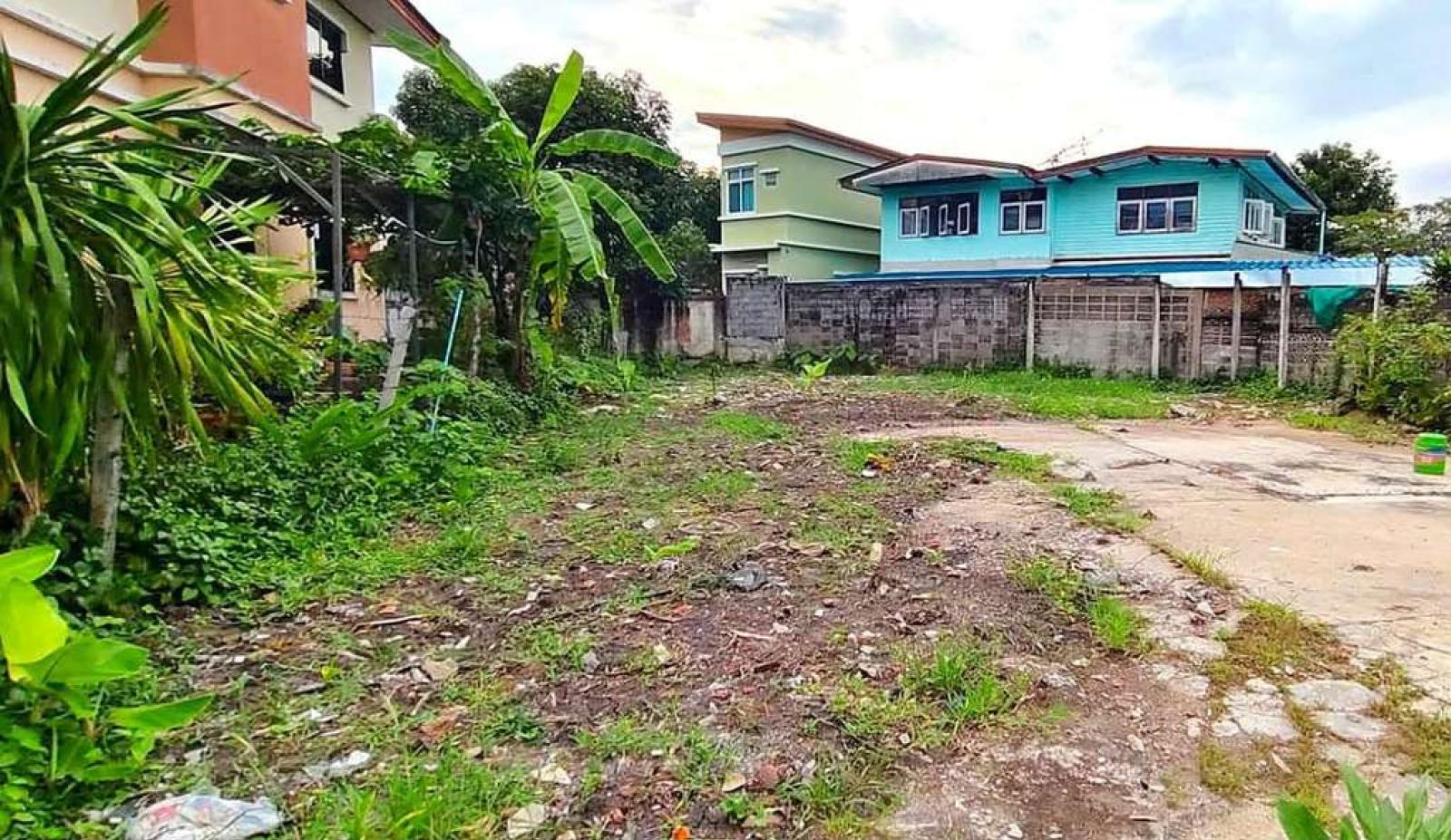 ที่ดิน ซอยอุดมสุข 30 / 73 ตร.วา (ขาย), Land plot in Soi Udomsuk 30 / 73 Square Wa (FOR SALE) GNG327