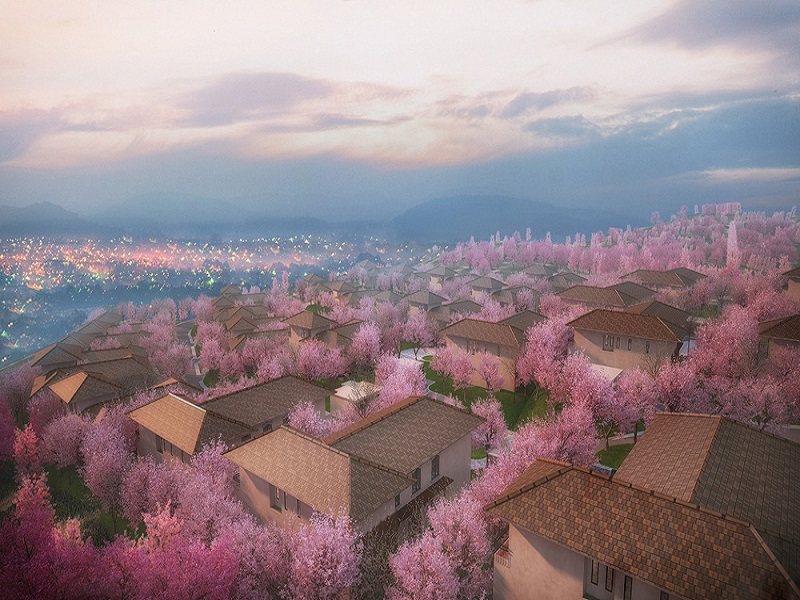 ศิวิไลซ์-ฮิลล์-เขาใหญ่