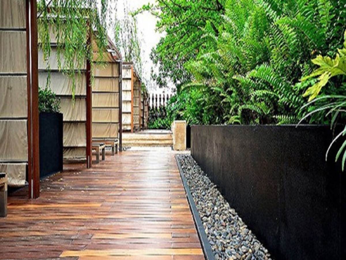 ซิตี้เซนส์-เพชรเกษม