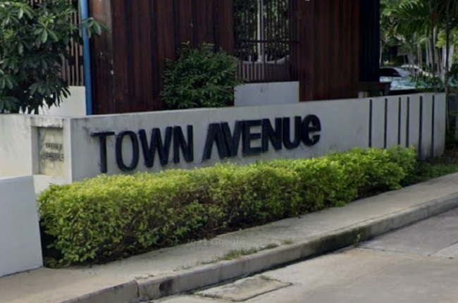 banner-project-details